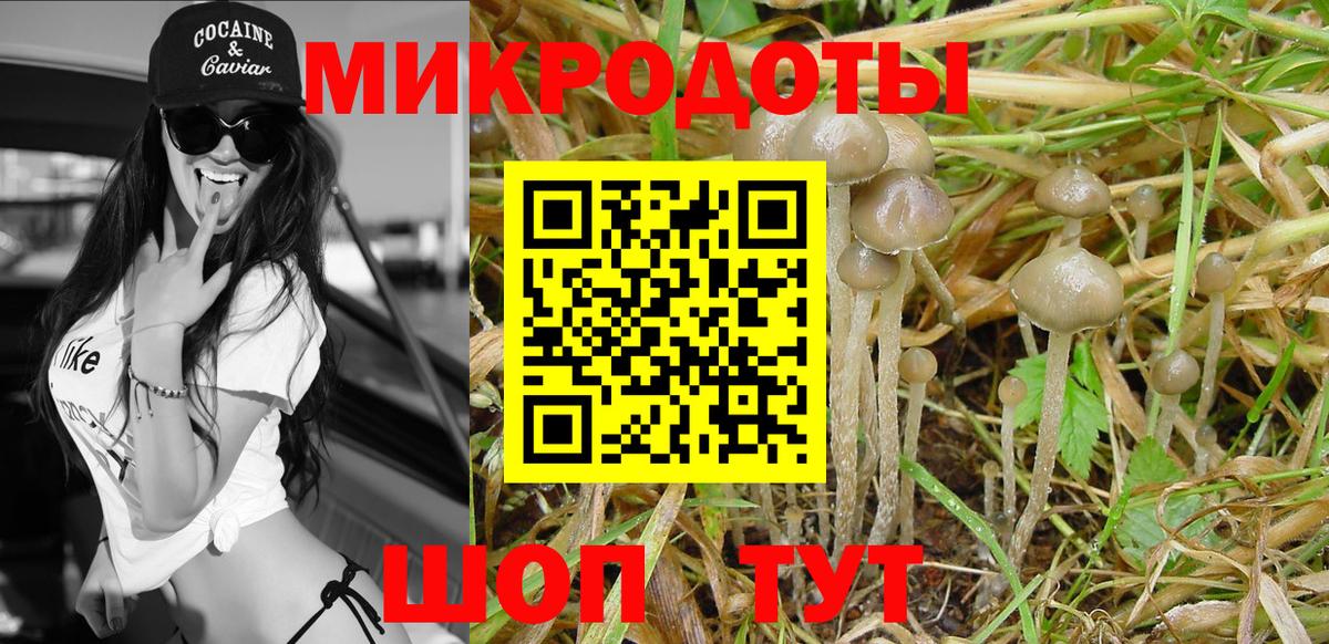 Псилоцибиновые грибы MAGIC MUSHROOMS  Псилоцибиновые грибы ЛСД  Вход с VPN  Ставрополь 